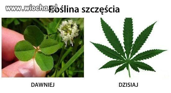 Różnica pokoleniowa....