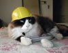 No to startujemy do roboty 