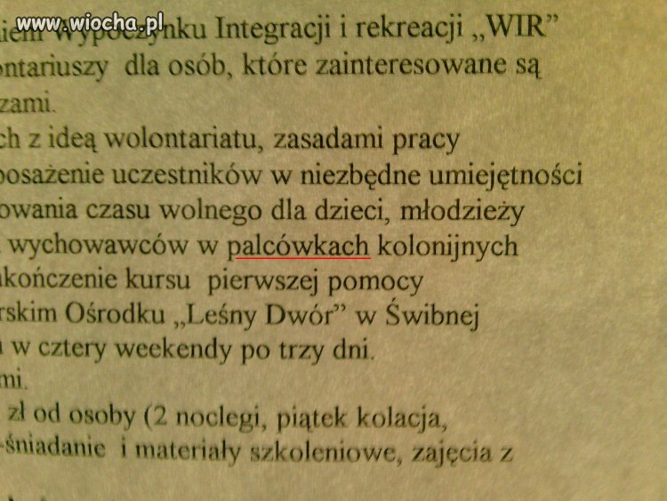 Palcówki kolonijne 