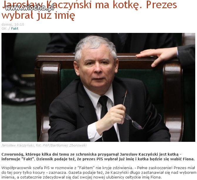 Kaczyński ma nową kotkę!!