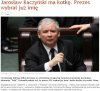 Kaczyński ma nową kotkę!!