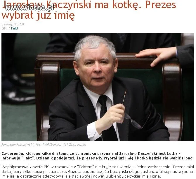Kaczyński ma nową kotkę!!