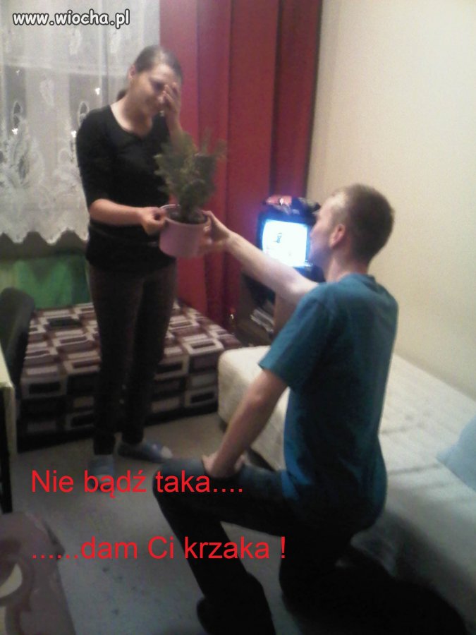 Oświadczyny