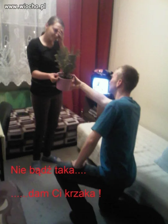 Oświadczyny