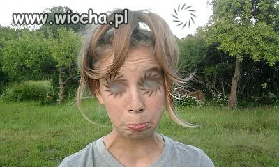 Polska Wiocha