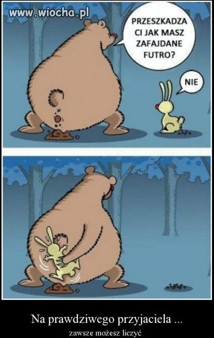 Nie ma jak dobry przyjaciel 