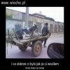 Uparty jak osioł!!!