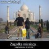Polak potrafi