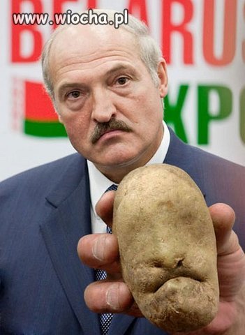 Bliźnięta