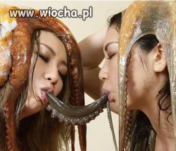 O co tu w ogóle chodzi?