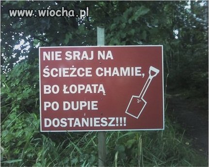 Takie rzeczy tylko w Polsce