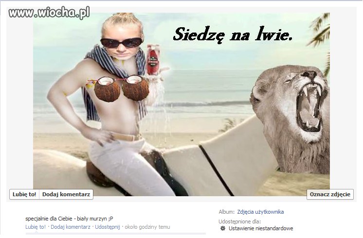 Mistrz Painta!