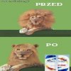 Efekt Head & Shoulders
