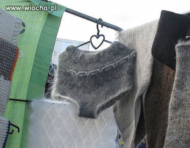 Nowa moda na wełniane majtki 