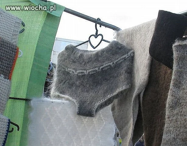 Nowa moda na wełniane majtki 