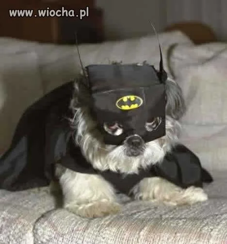 Batman