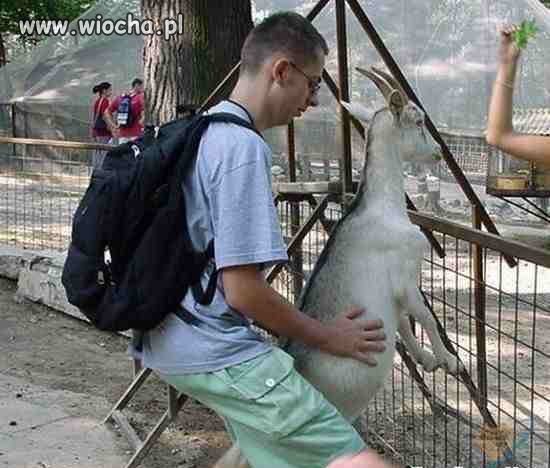 Takie tam z wycieczki do zoo