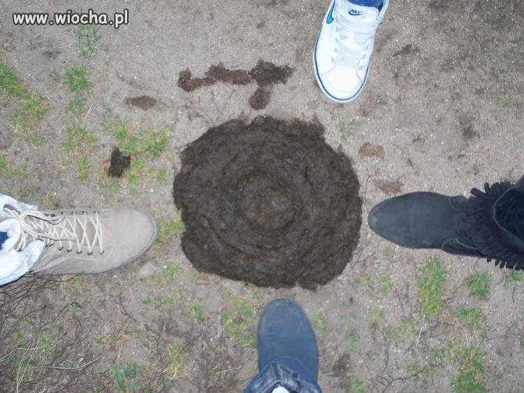 Pamiątka z wakacji