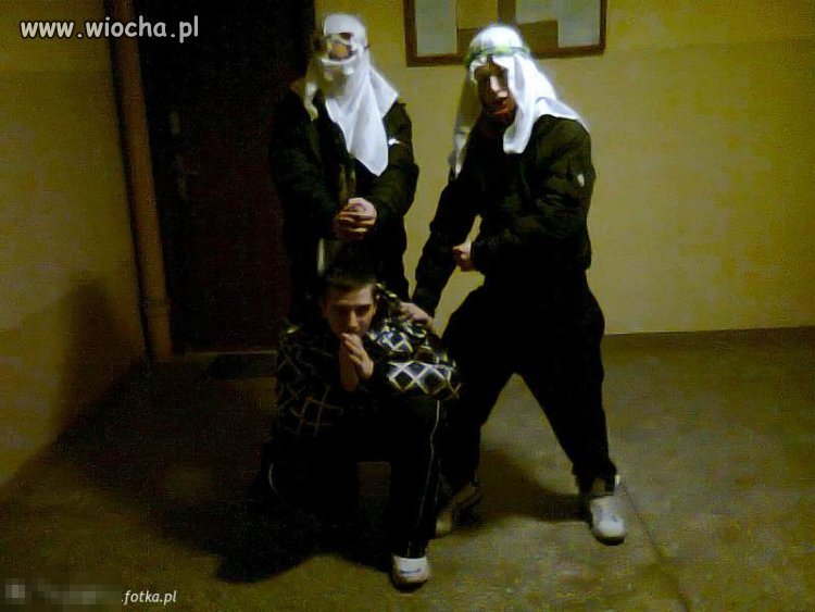 Gangsta 100 %