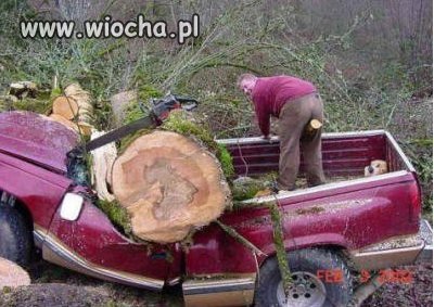 Super cięcie drzewa