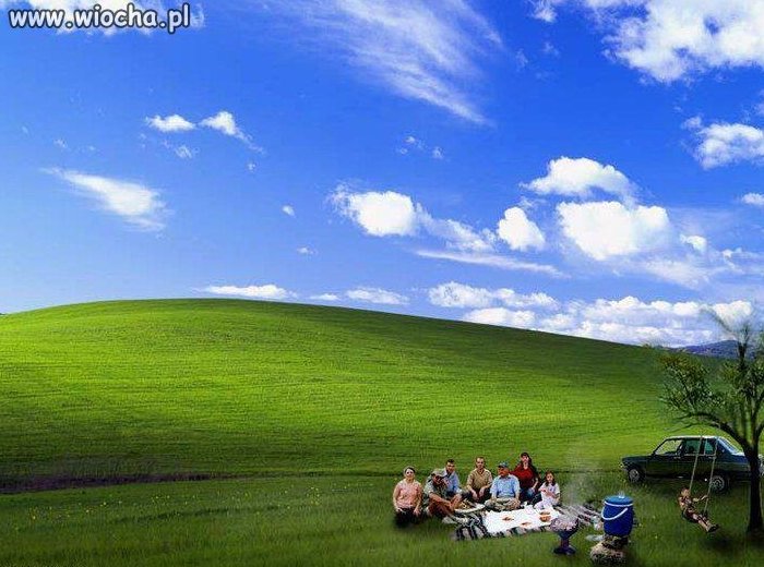 Piknik rodzinny