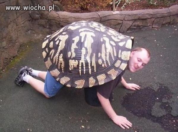 Człowiek żółw...