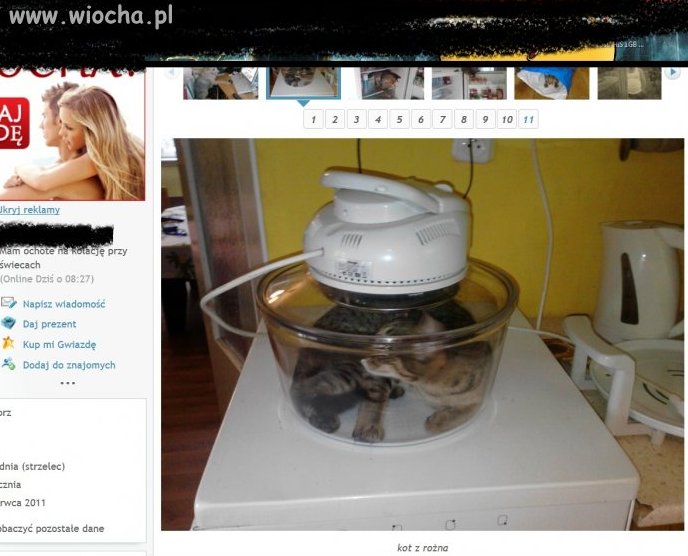 Opis pod zdjeciem < Kot z rożna >