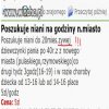 Poszukiwanie do pracy!!! Do żywej dziewczynki :/