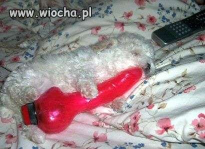 Ciekawe co mu się śni,