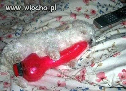 Ciekawe co mu się śni,