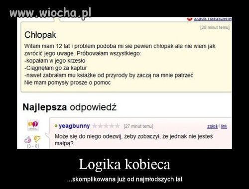 Inteligencjaa