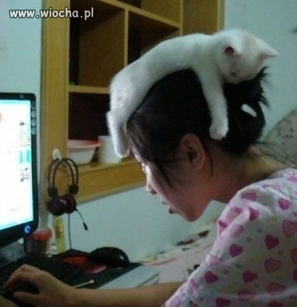 Czapeczka