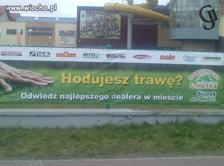 Podstawa to solidna reklama