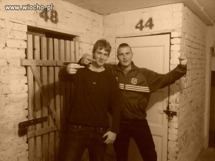 Polska gangsta