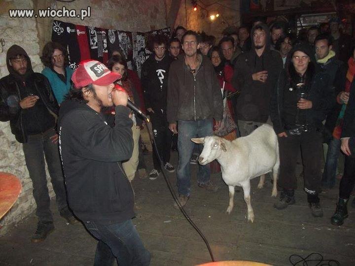 Chyba nie takiej "publiczności"...