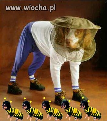 Boże!!!