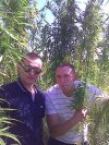 Dwaj cwaniacy i sieją i ten joint z painta