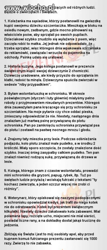 Apel znaleziony w sieci