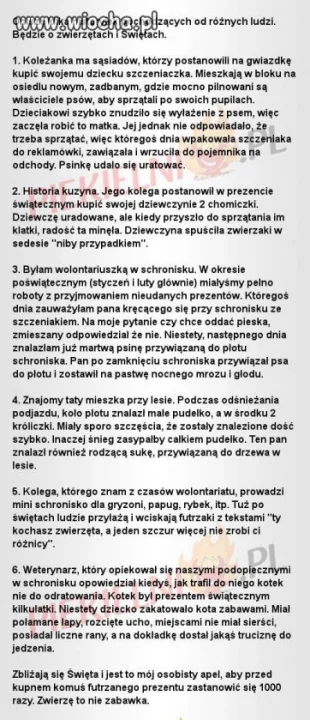 Apel znaleziony w sieci