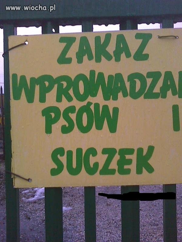 Takie rzeczy Tylko w Polsce 