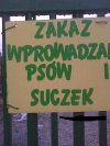 Takie rzeczy Tylko w Polsce 