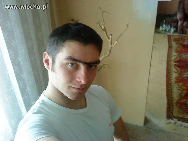 Nowa moda