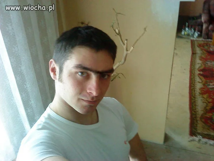 Nowa moda