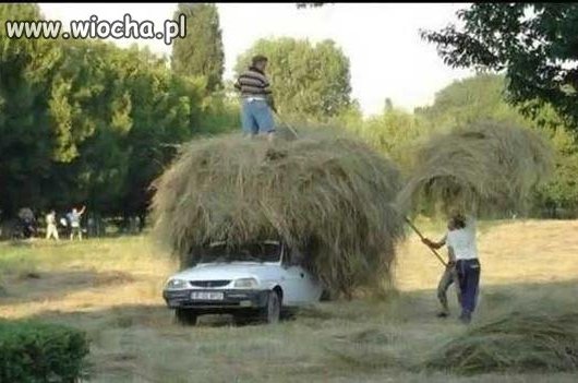 ...jaka tam wiocha??!!!
