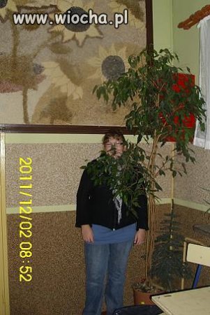 "King" - 'W pustyni i w puszczy' 