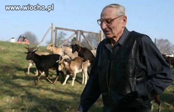 Mistrz drugiego planu