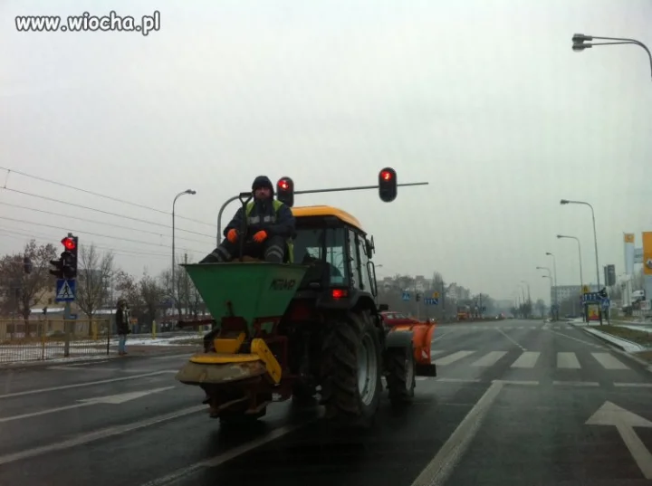 Polskie