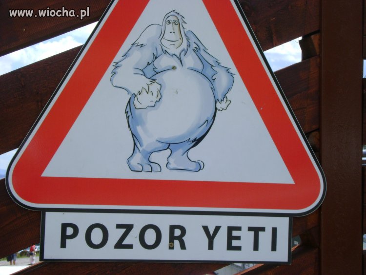 Uwaga Yetii