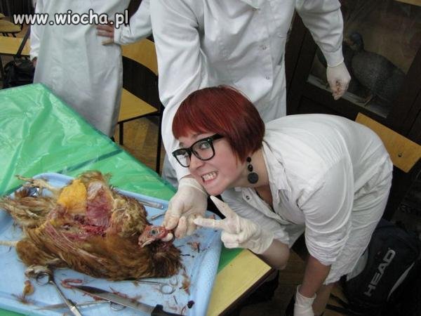 Studenci na zajęciach