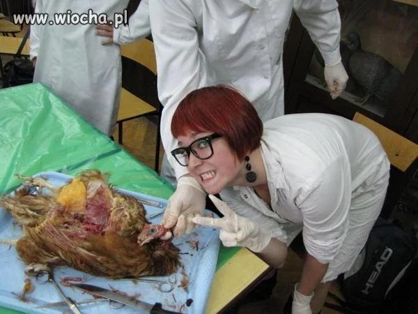Studenci na zajęciach
